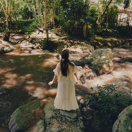 เดอะริเวอร์ แม่กำปอง The River Maekampong Chiang Mai Ban Pok Nai Экстерьер фото
